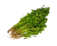 Thai style CORIANDER 200g  - 1